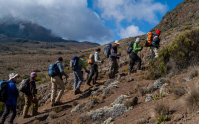 Beklimming Kilimanjaro